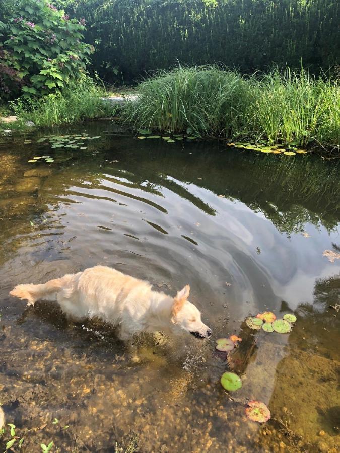 Millies Hosting - Familienurlaub Mit Hund In Kaernten Sankt Paul im Lavanttal エクステリア 写真