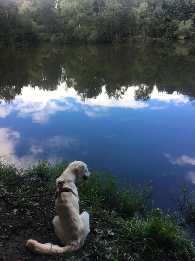 Millies Hosting - Familienurlaub Mit Hund In Kaernten Sankt Paul im Lavanttal エクステリア 写真
