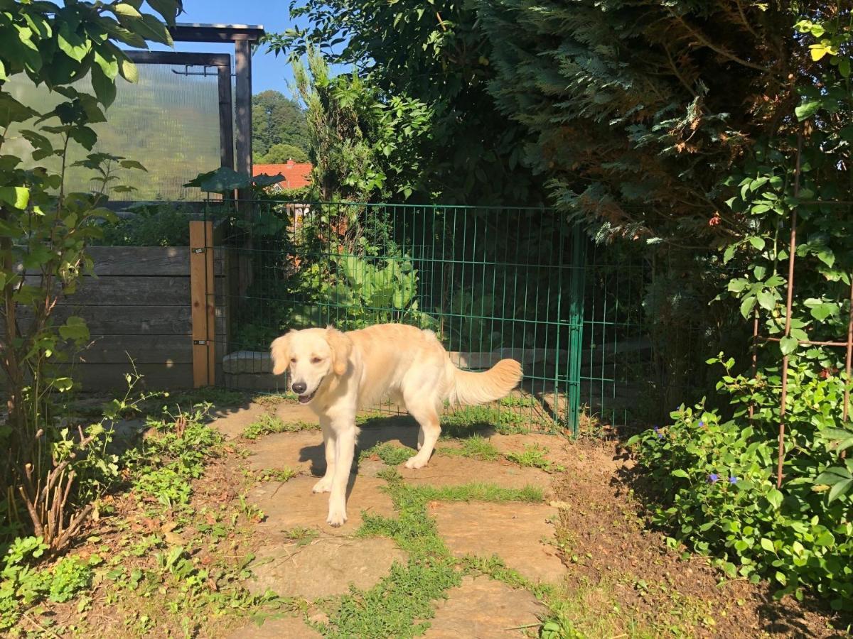 Millies Hosting - Familienurlaub Mit Hund In Kaernten Sankt Paul im Lavanttal エクステリア 写真