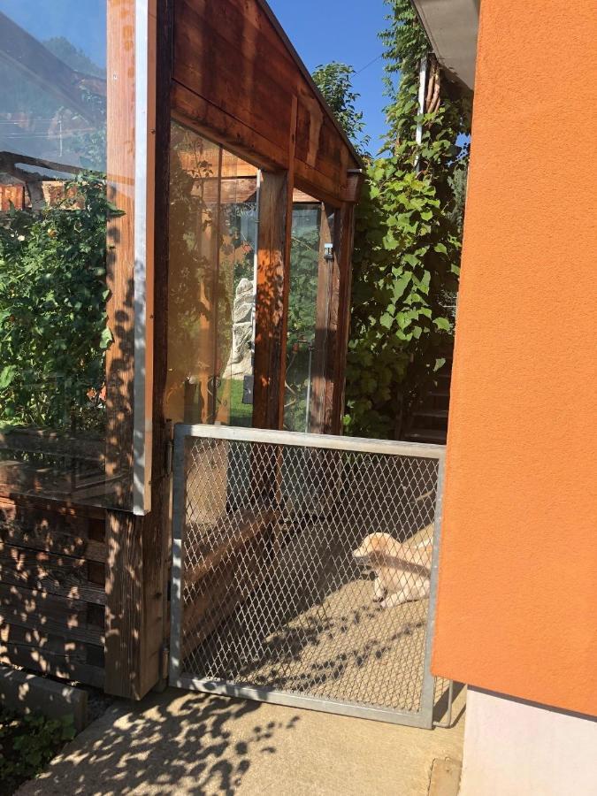 Millies Hosting - Familienurlaub Mit Hund In Kaernten Sankt Paul im Lavanttal エクステリア 写真