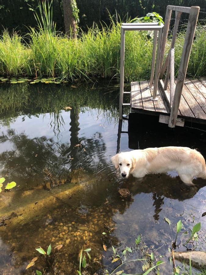 Millies Hosting - Familienurlaub Mit Hund In Kaernten Sankt Paul im Lavanttal エクステリア 写真