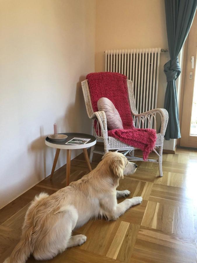Millies Hosting - Familienurlaub Mit Hund In Kaernten Sankt Paul im Lavanttal エクステリア 写真