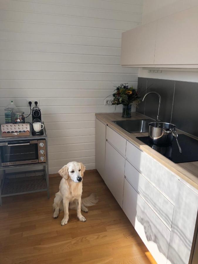 Millies Hosting - Familienurlaub Mit Hund In Kaernten Sankt Paul im Lavanttal エクステリア 写真