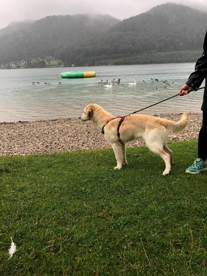 Millies Hosting - Familienurlaub Mit Hund In Kaernten Sankt Paul im Lavanttal エクステリア 写真