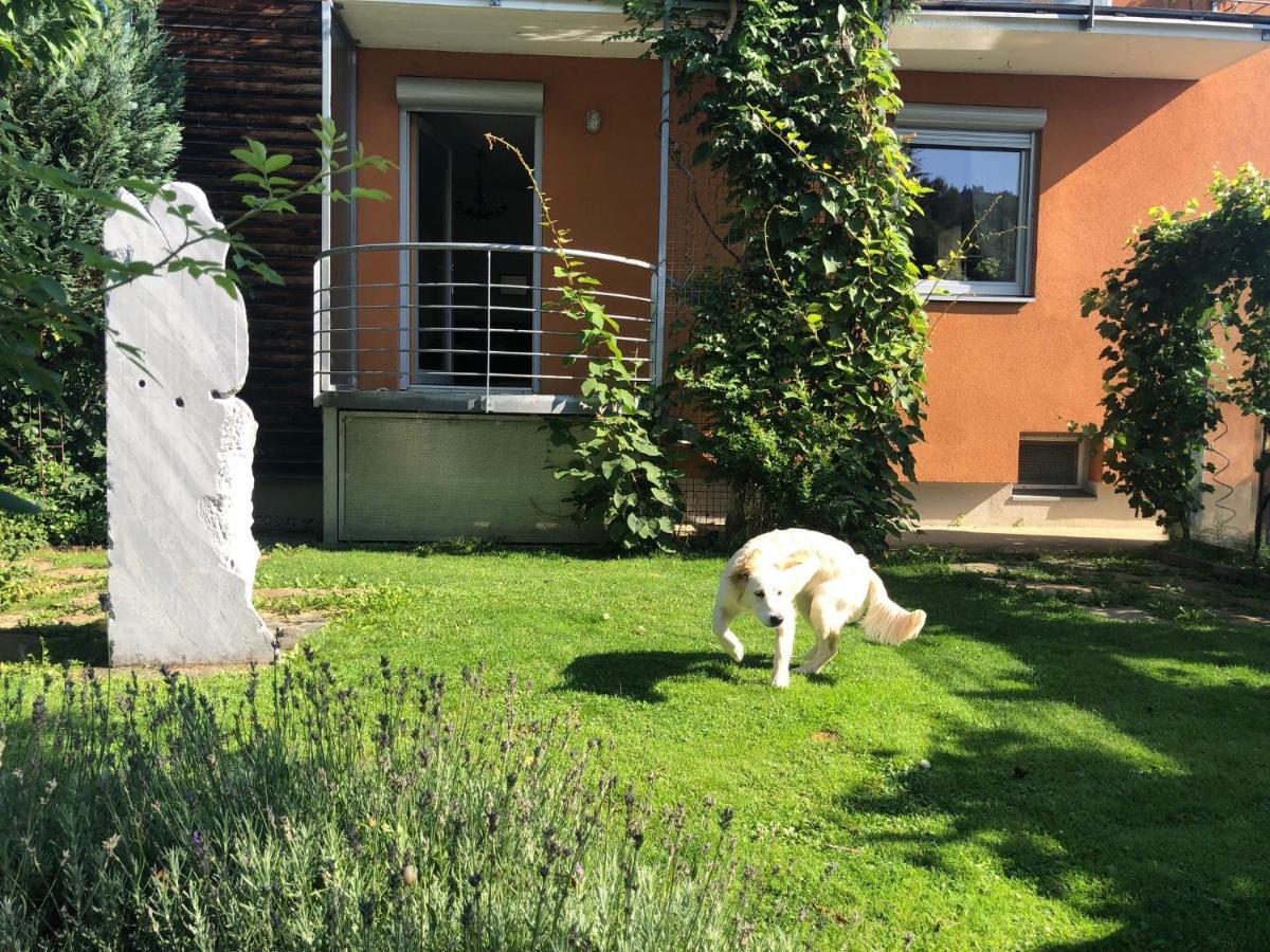 Millies Hosting - Familienurlaub Mit Hund In Kaernten Sankt Paul im Lavanttal エクステリア 写真