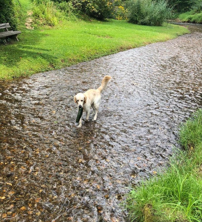 Millies Hosting - Familienurlaub Mit Hund In Kaernten Sankt Paul im Lavanttal エクステリア 写真