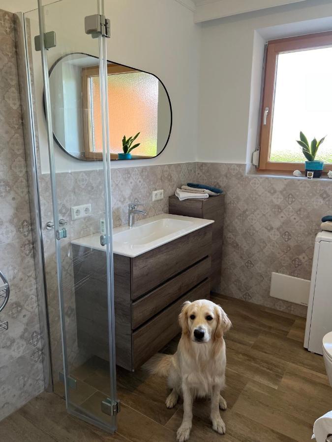 Millies Hosting - Familienurlaub Mit Hund In Kaernten Sankt Paul im Lavanttal エクステリア 写真